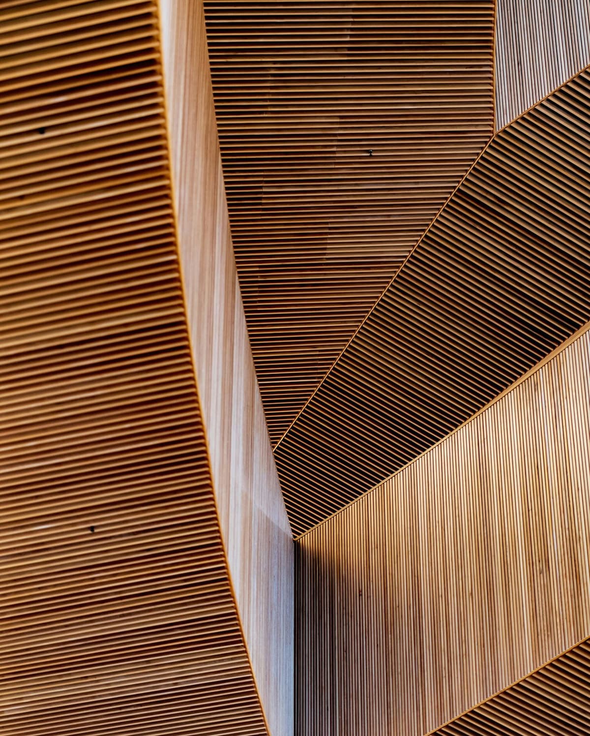 Designed to Multiply